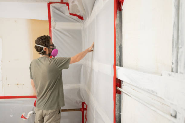 Best Post-Construction Mold Inspection  in Waco, TX