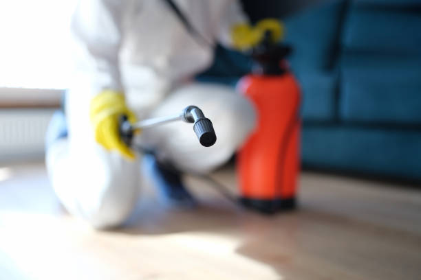 Best Mold Removal for HVAC Installations  in Waco, TX
